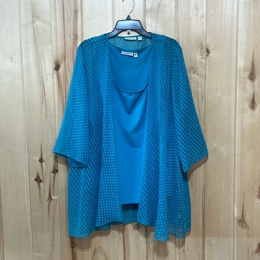 Susan Graver Light Blue Clip‎ Dot Sheer Plus Size Two Piece Blouse Set Size 2X